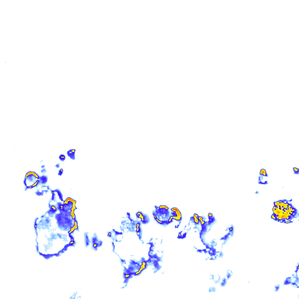 rainLayer