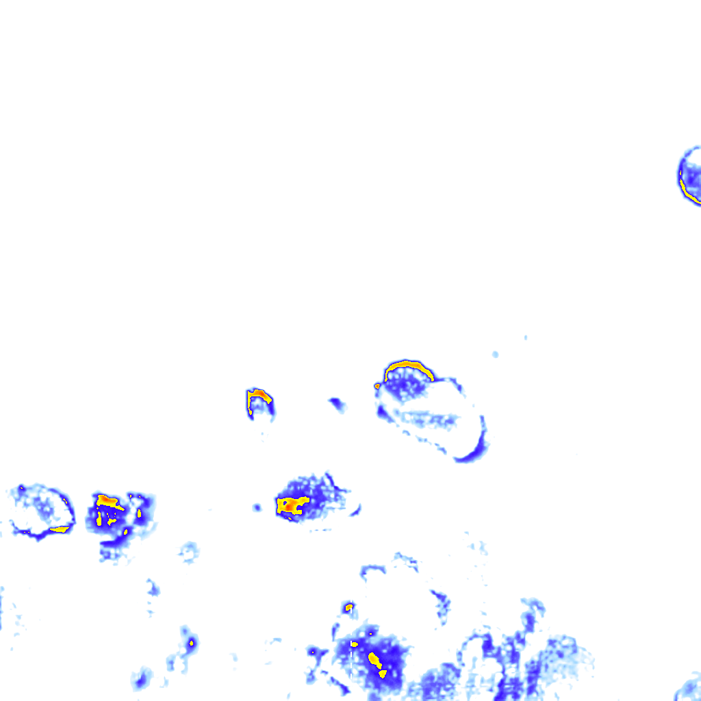 rainLayer