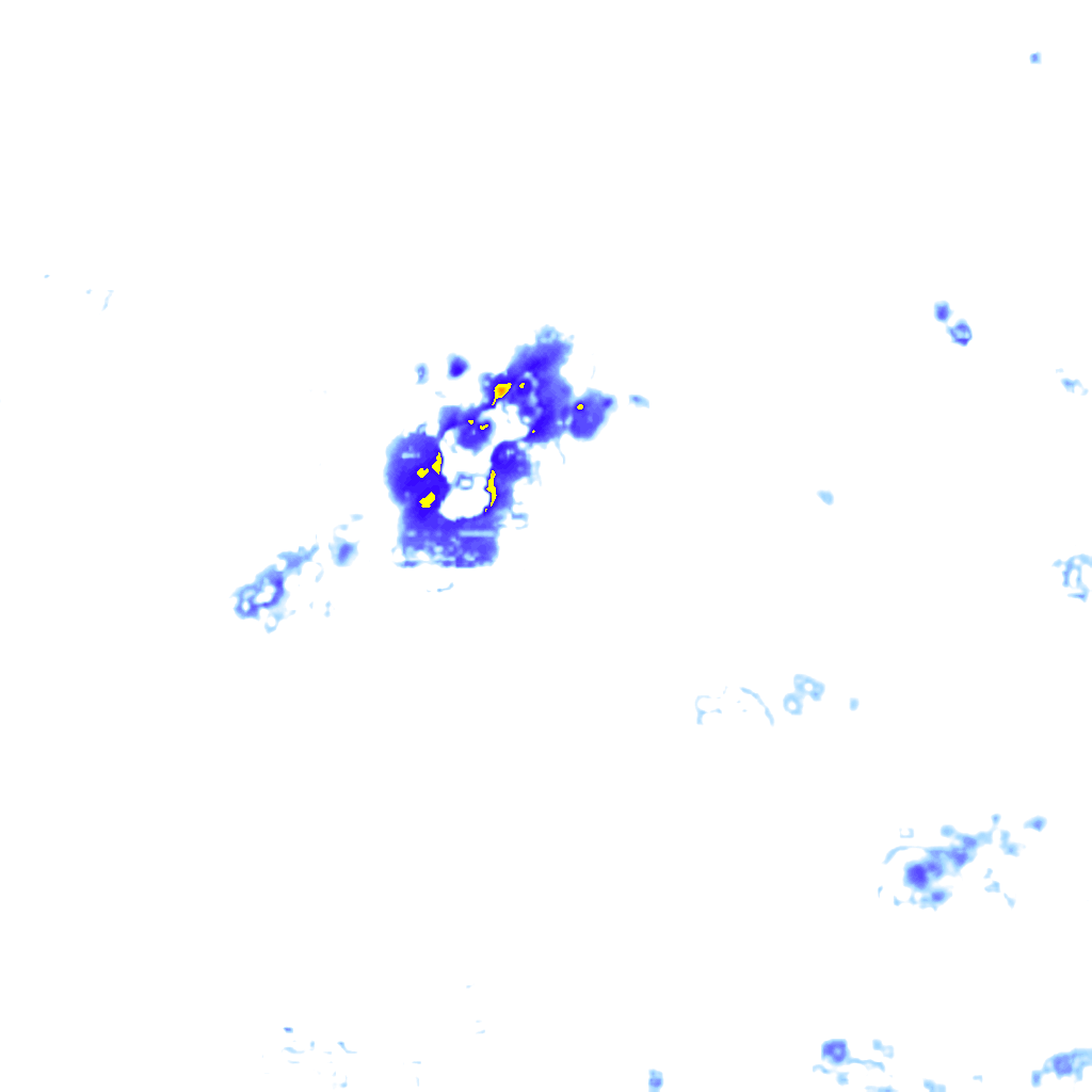 Image Layer