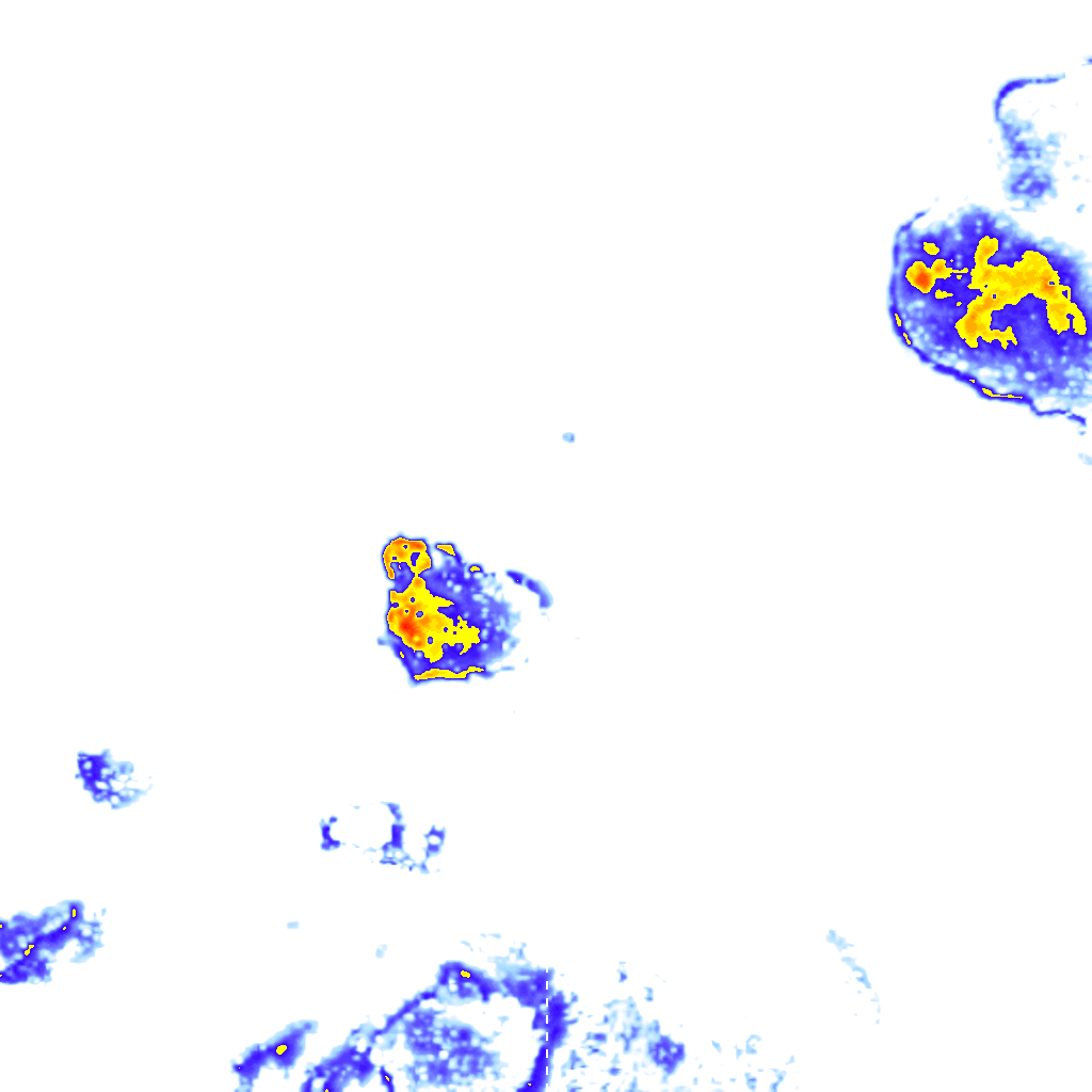 rainLayer