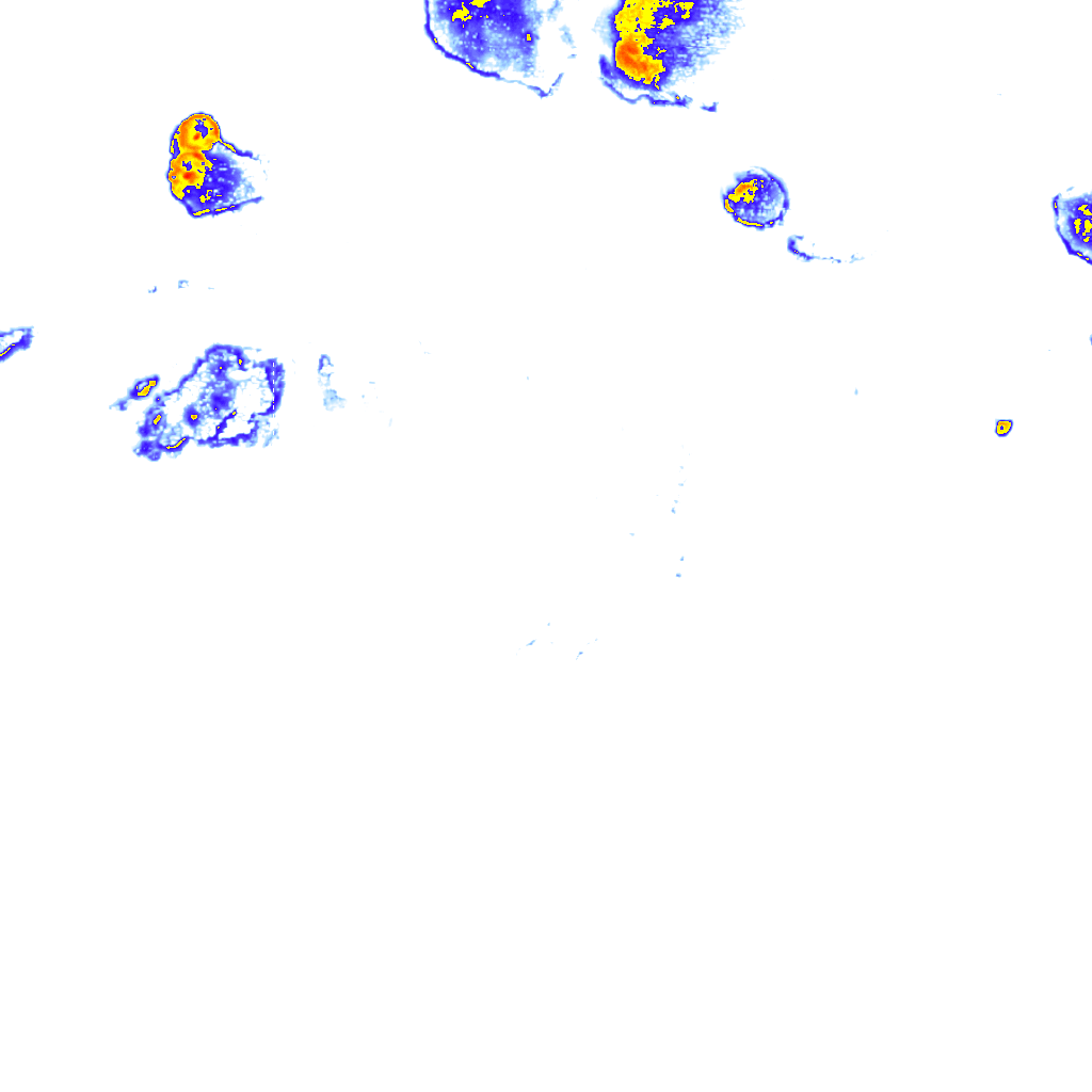 rainLayer