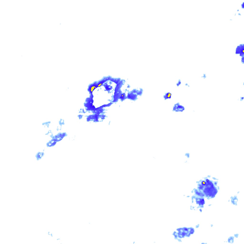 Image Layer