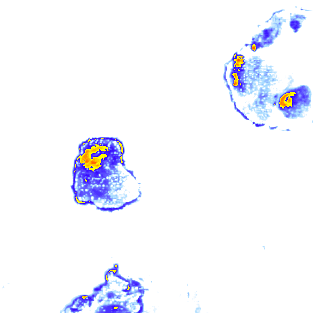 Image Layer