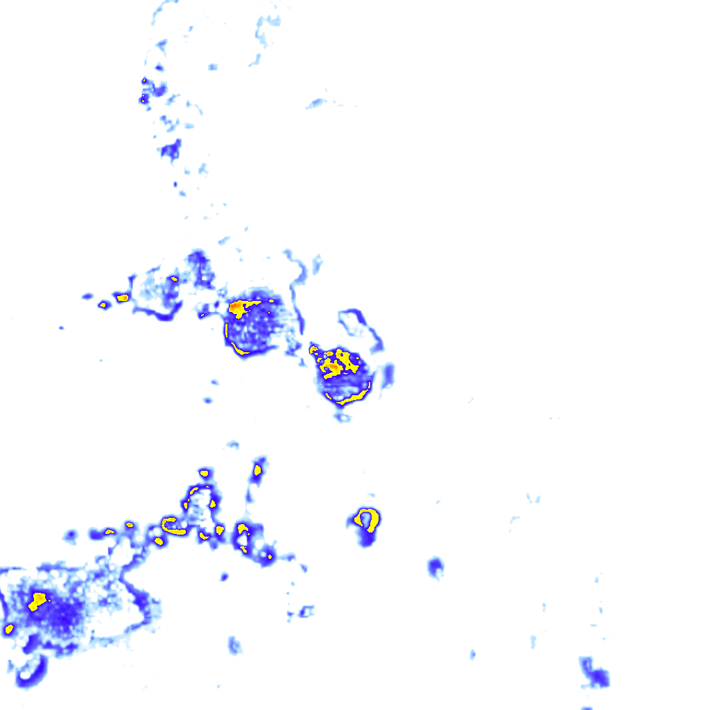 rainLayer