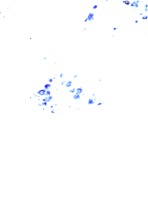 rainLayer