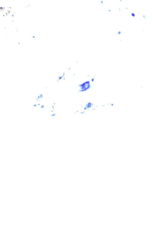 rainLayer