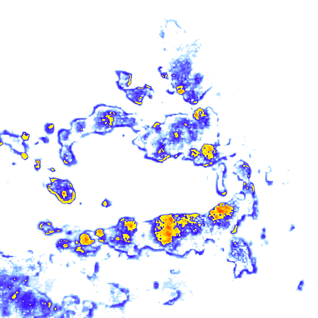 Image Layer