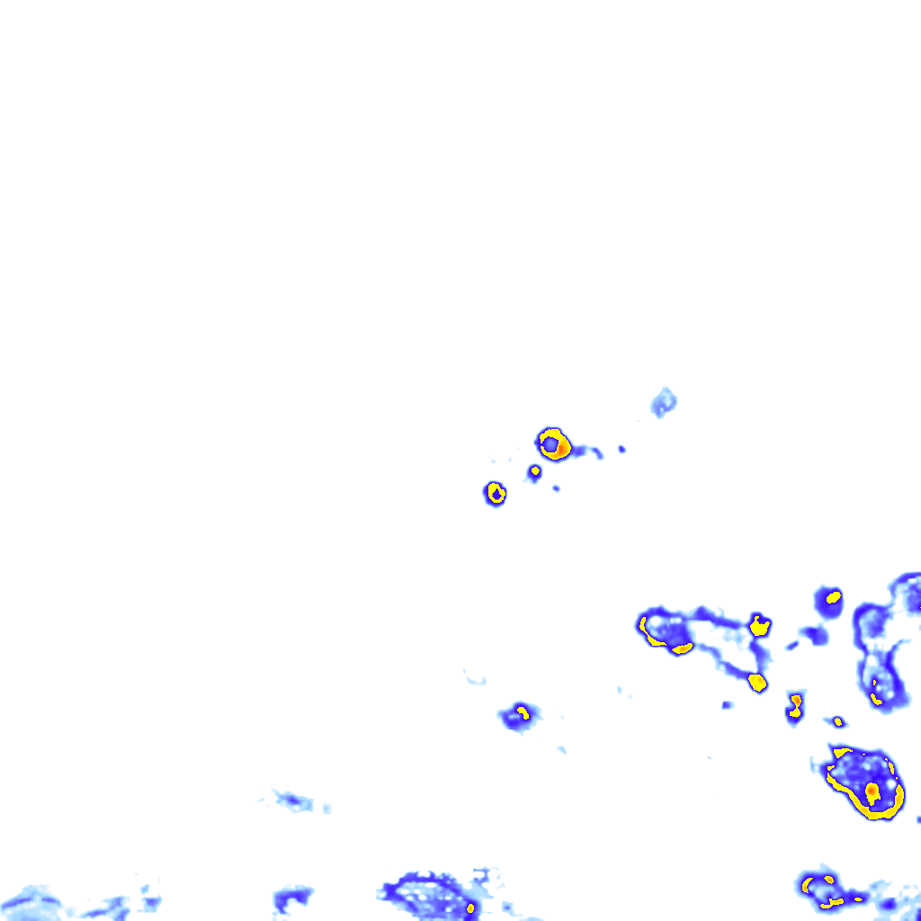 rainLayer