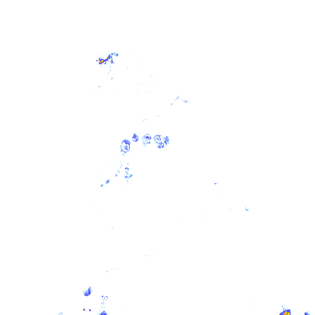 rainLayer