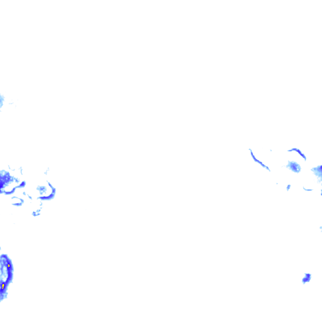 rainLayer