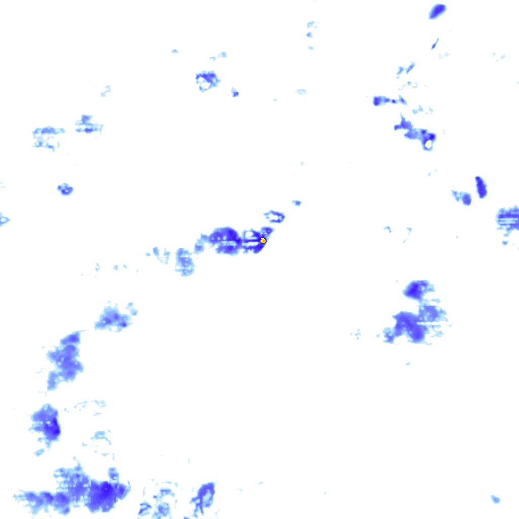 rainLayer