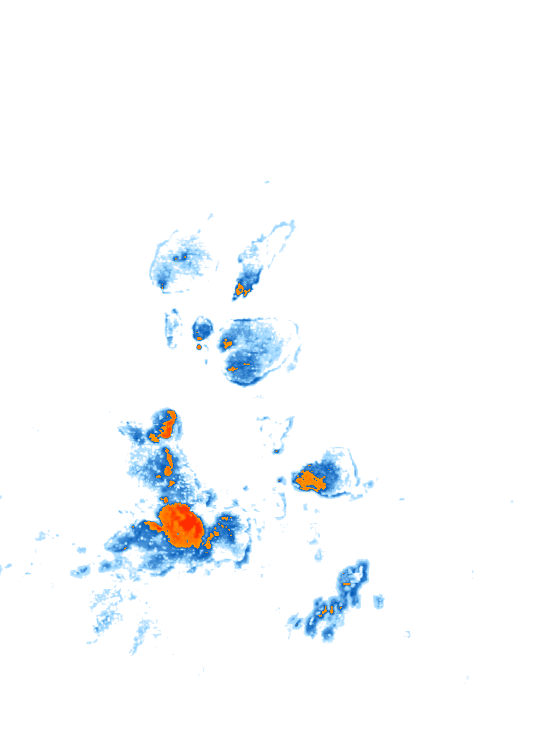 rain layer