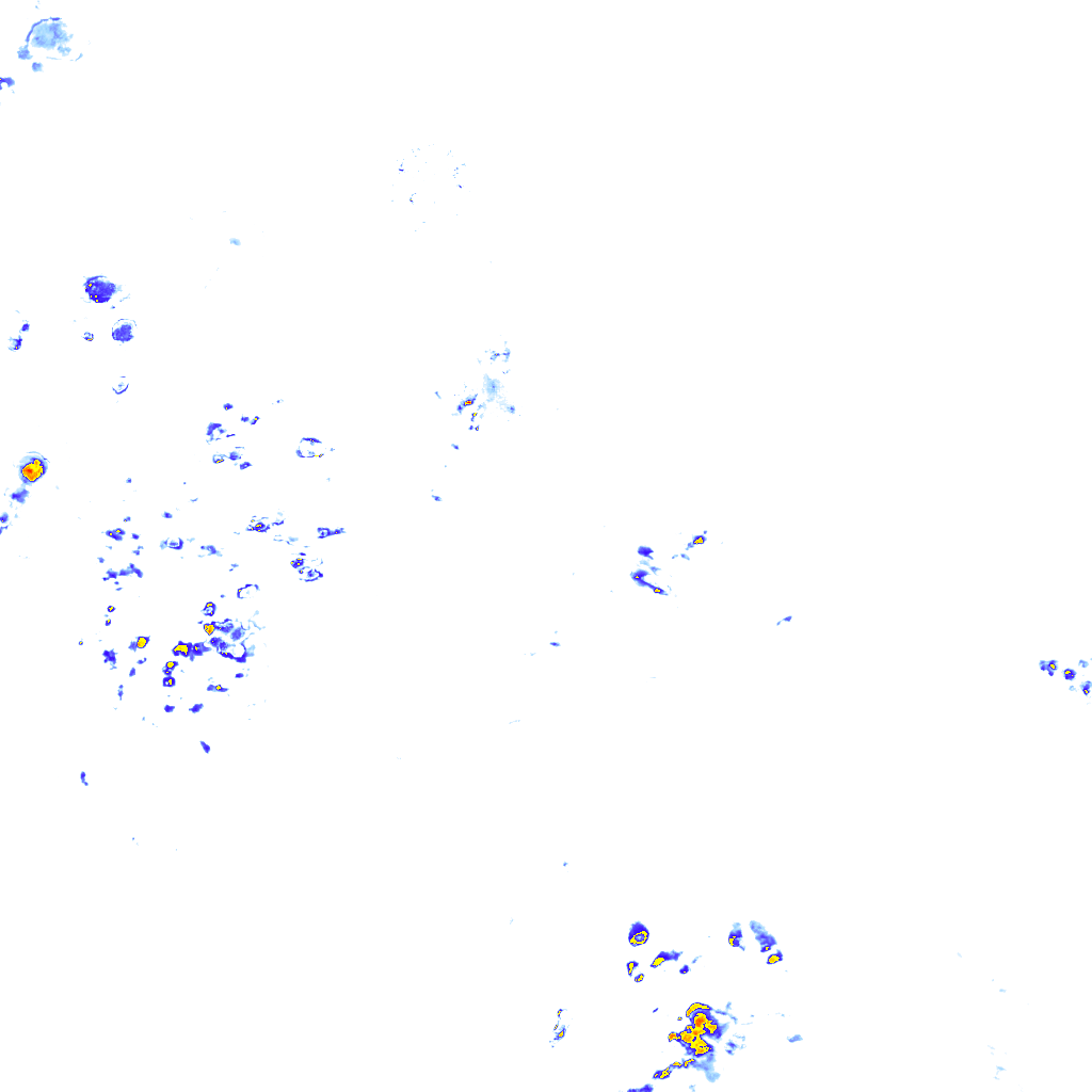 rainLayer