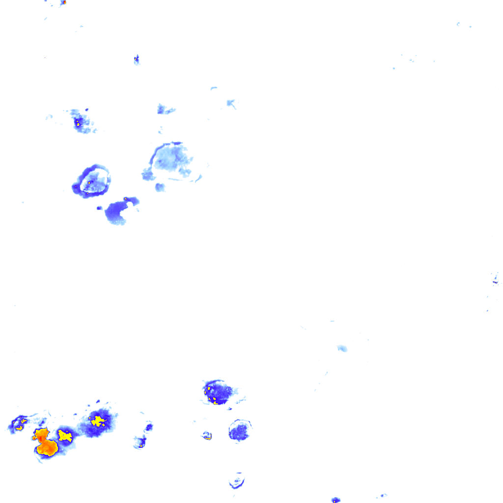 rainLayer