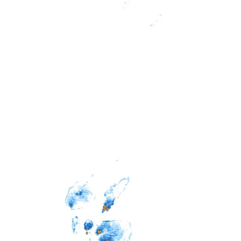 rain layer