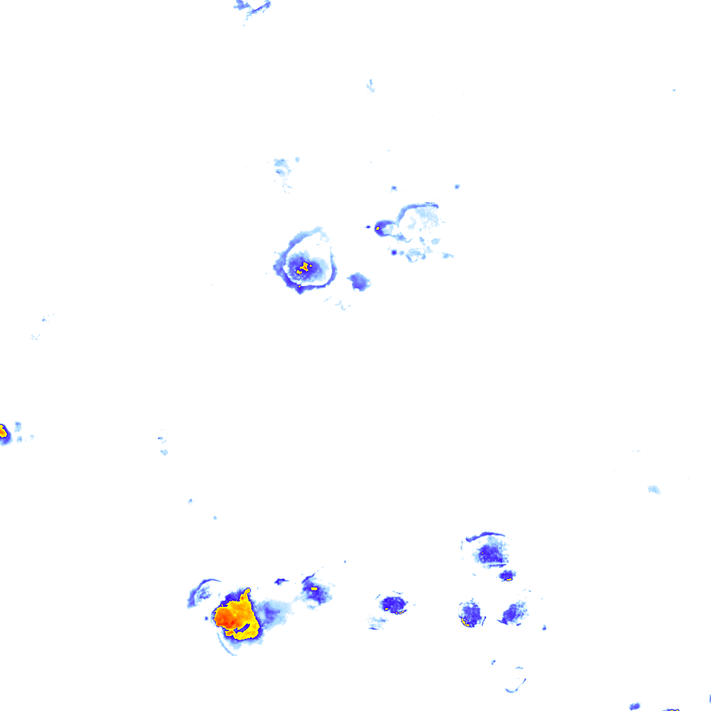 Image Layer