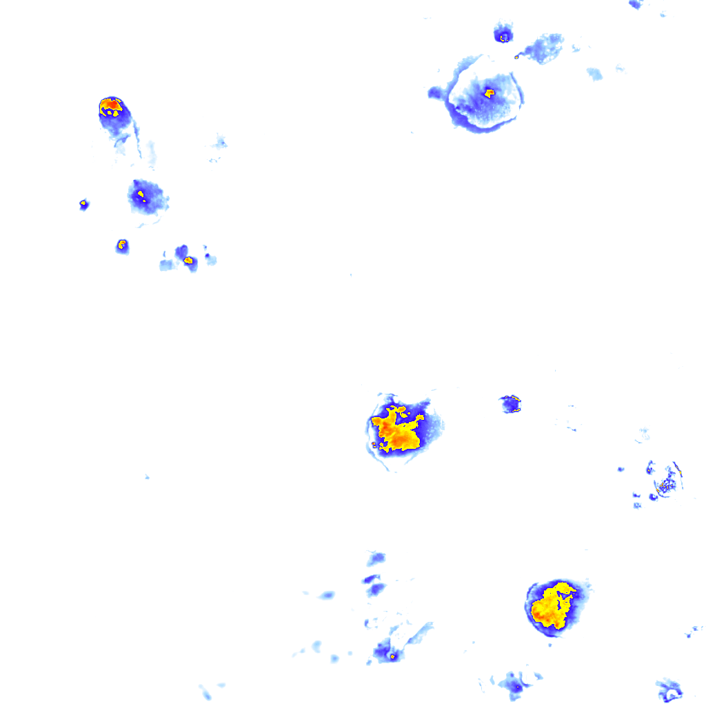 rainLayer