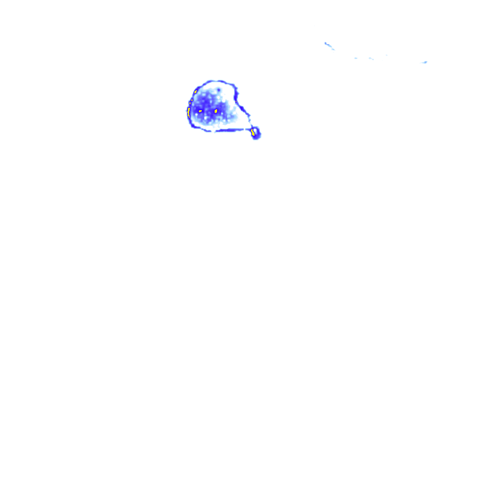 rainLayer