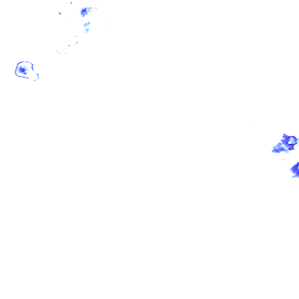 rainLayer