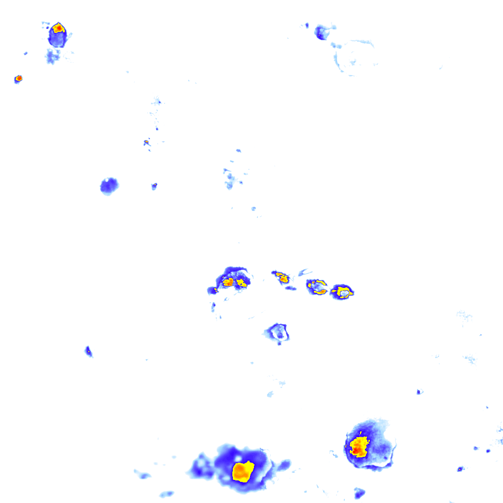 rainLayer