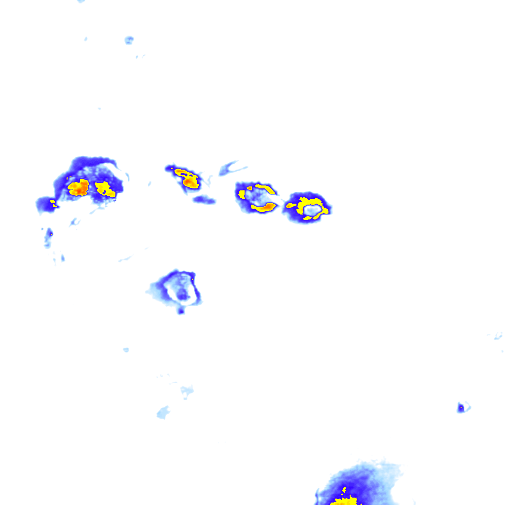 Image Layer