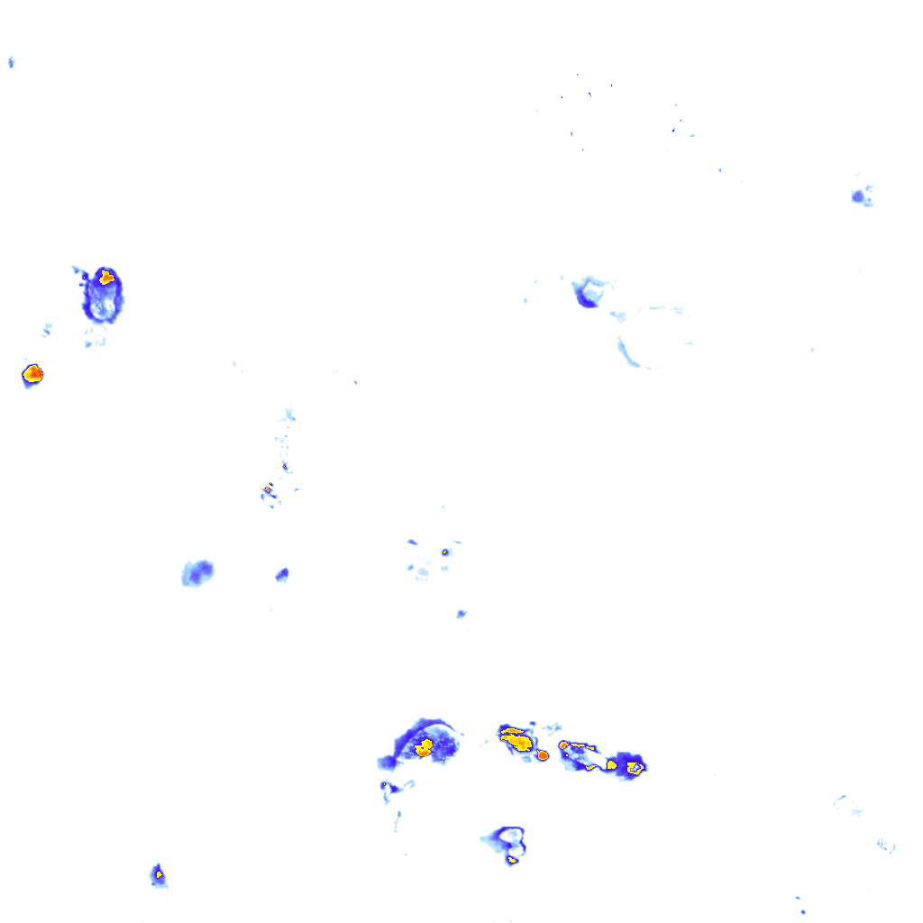 Image Layer