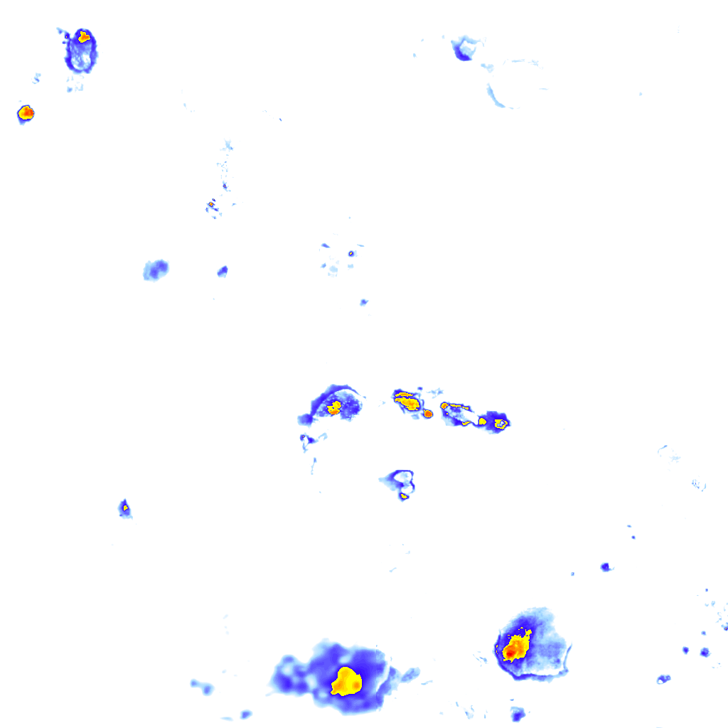 Image Layer