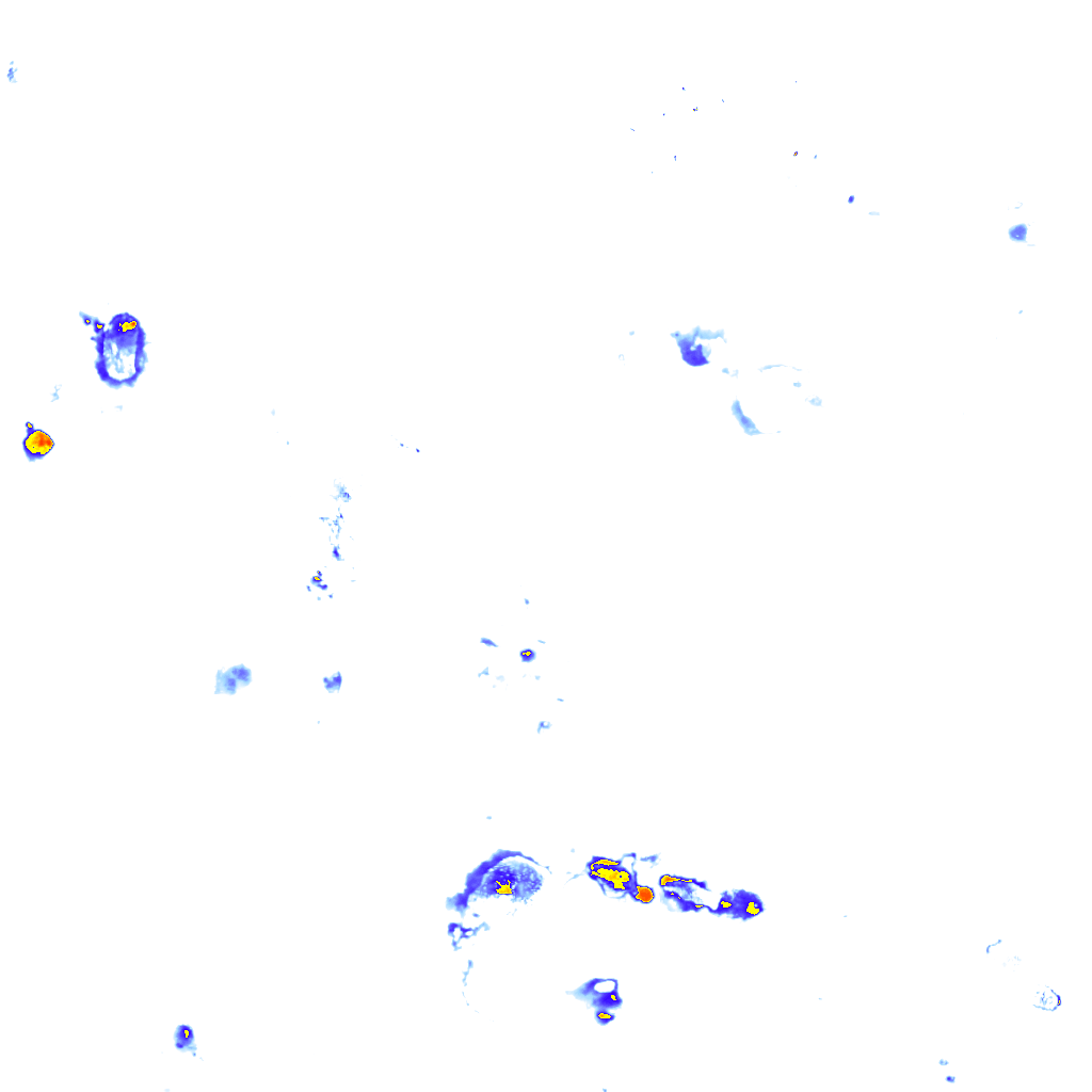 rainLayer