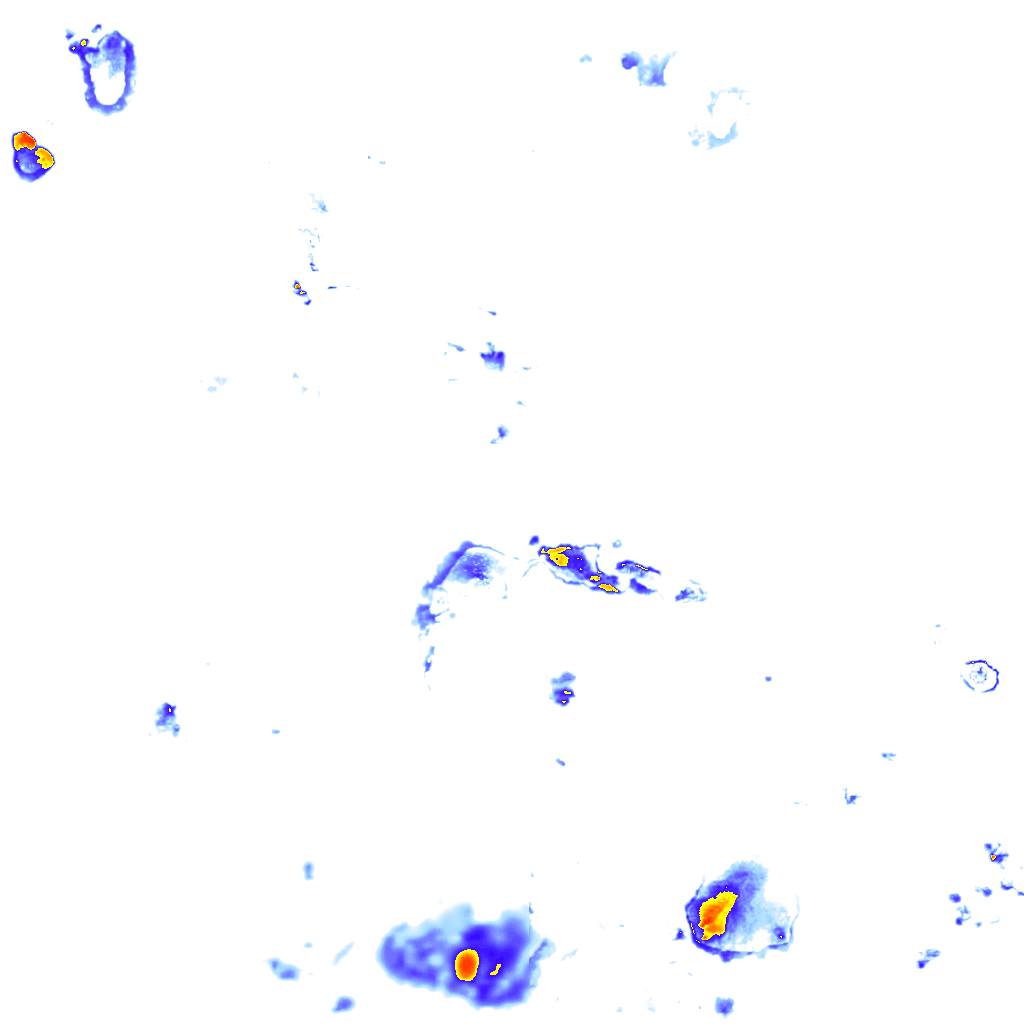 rainLayer