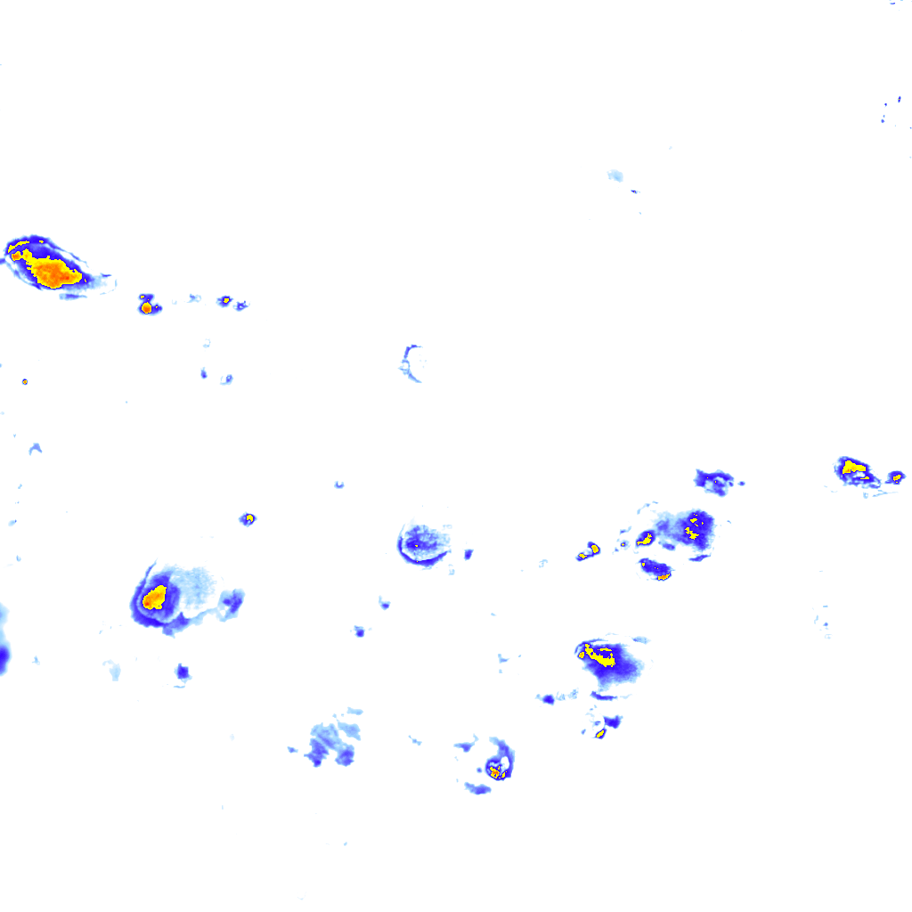 Image Layer