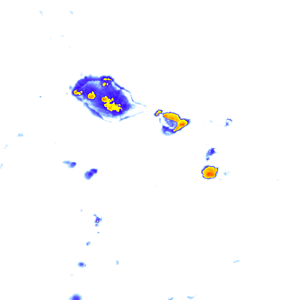 Image Layer