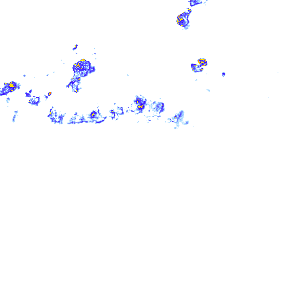 rainLayer