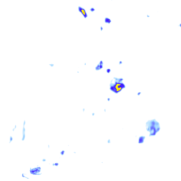 rainLayer