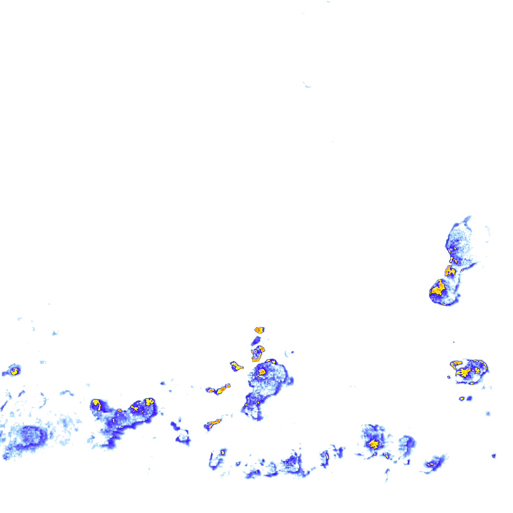 rainLayer