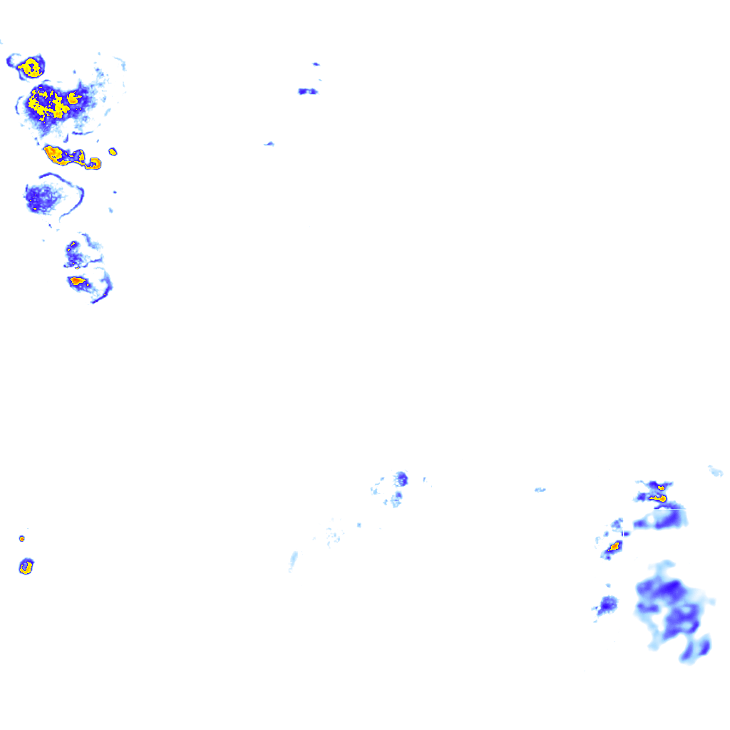 rainLayer