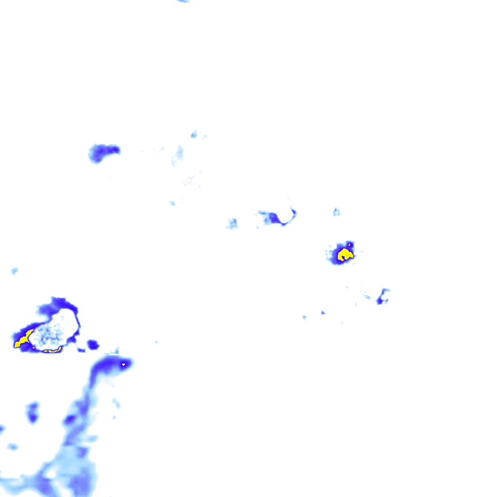 rainLayer