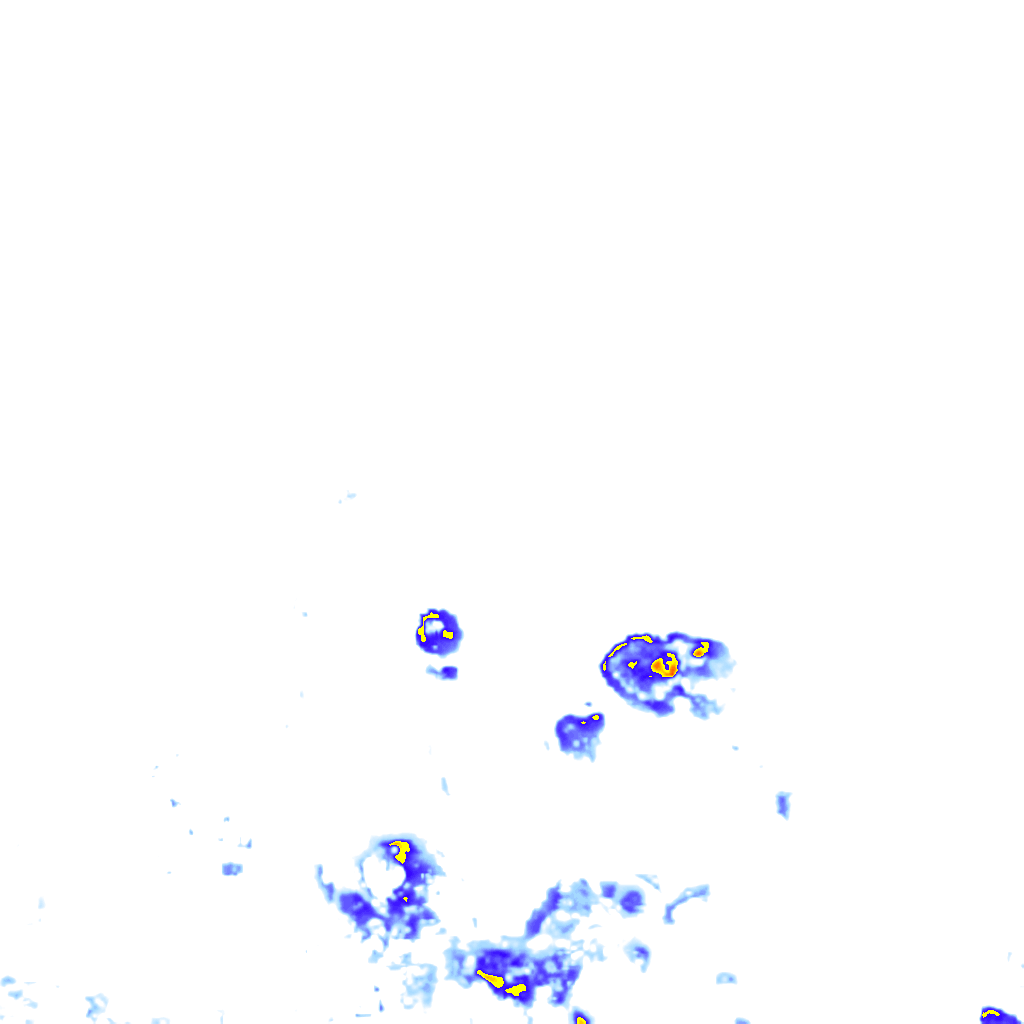 rainLayer