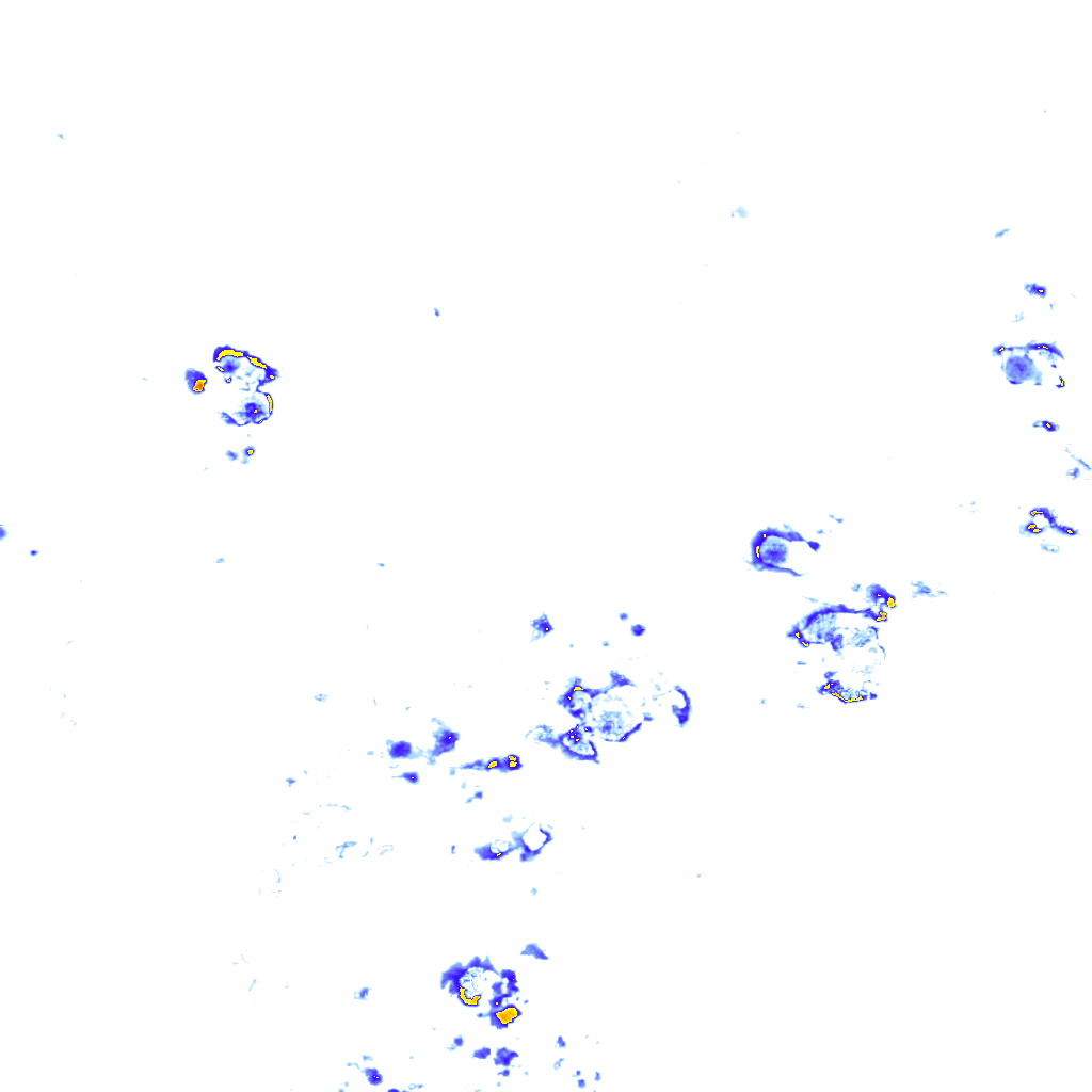 rainLayer