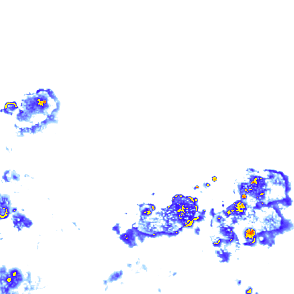 rainLayer