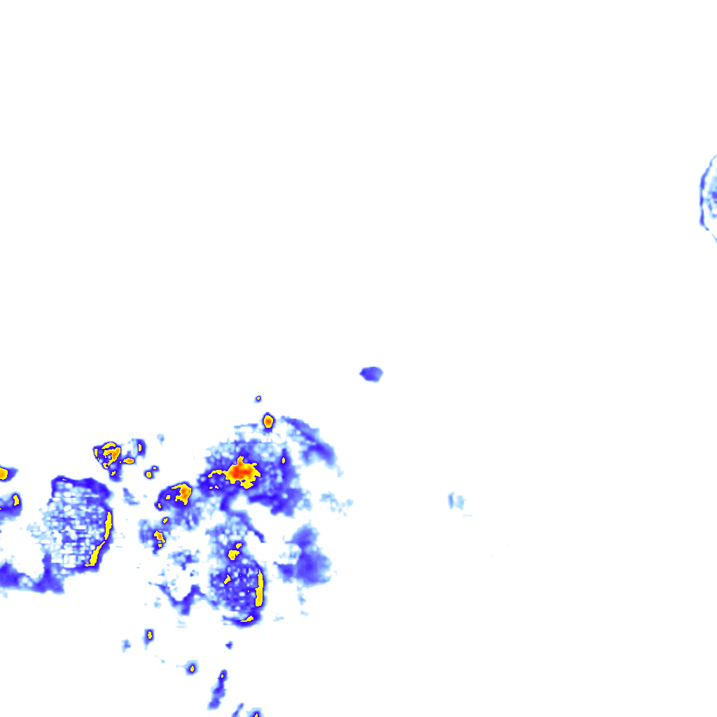 rainLayer