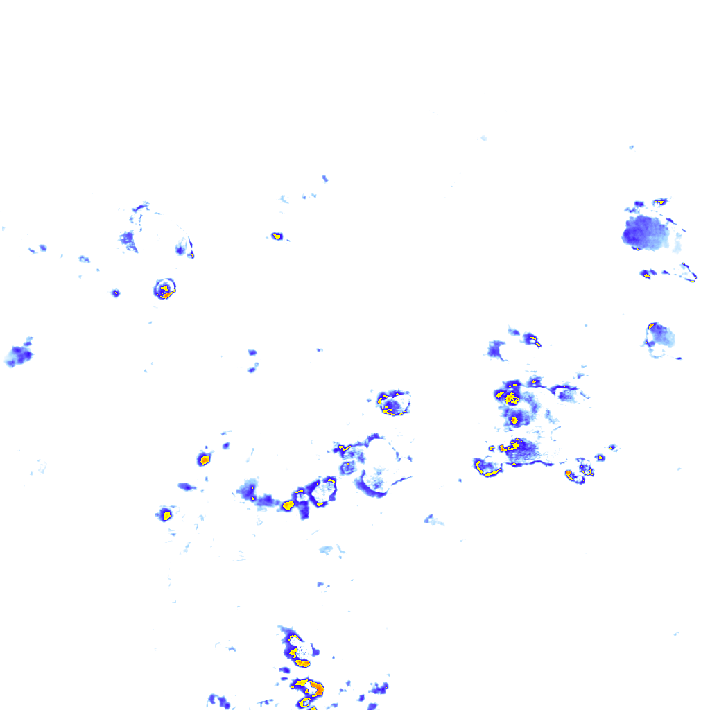 rainLayer