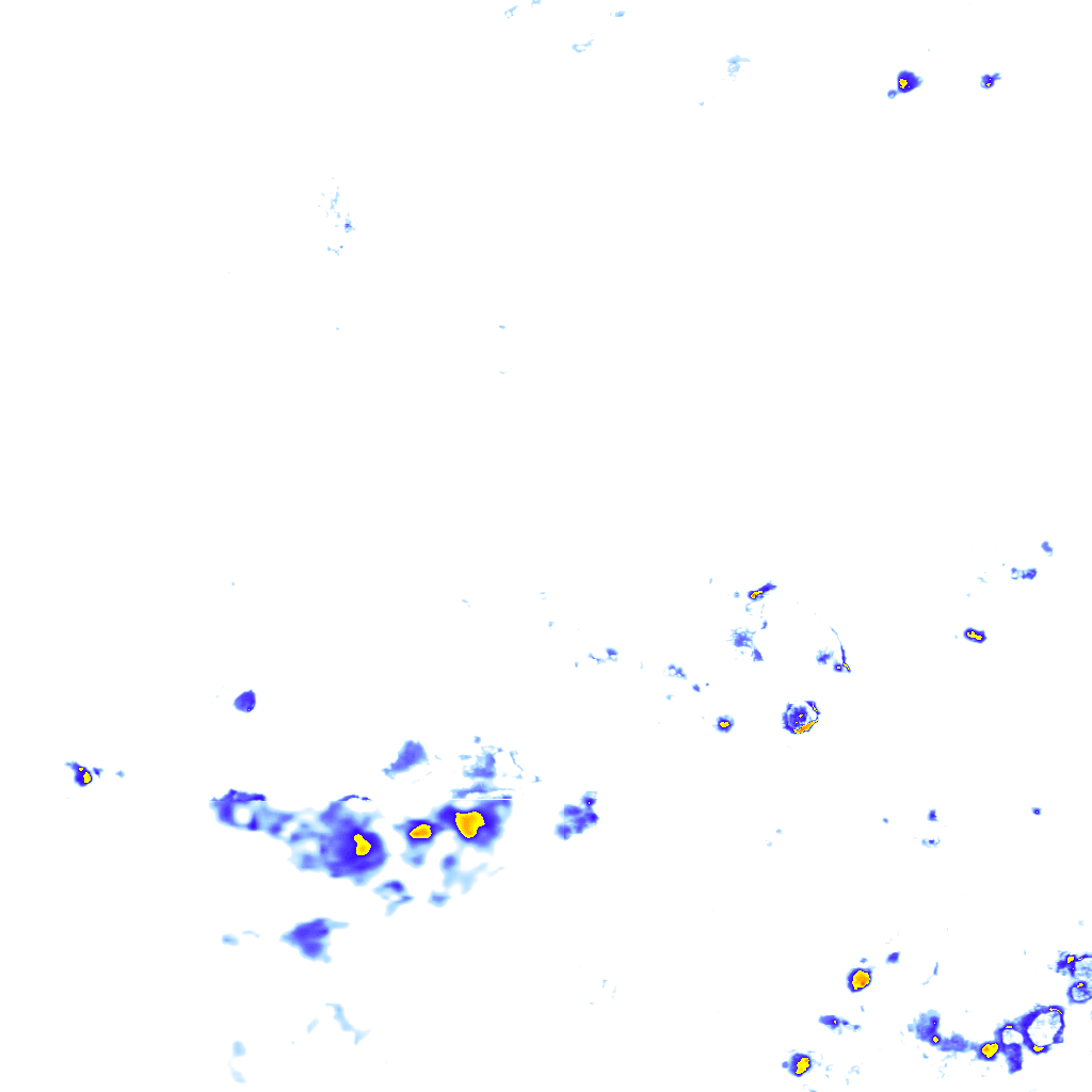 rainLayer