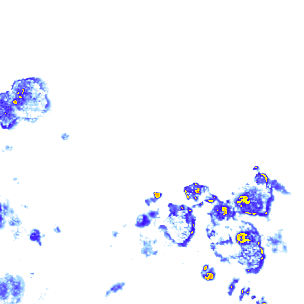 rainLayer