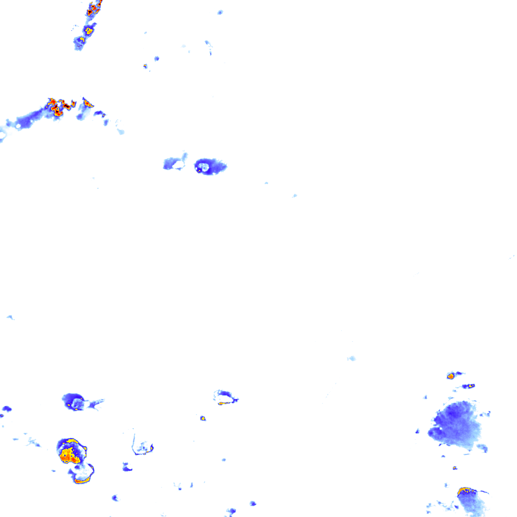 rainLayer