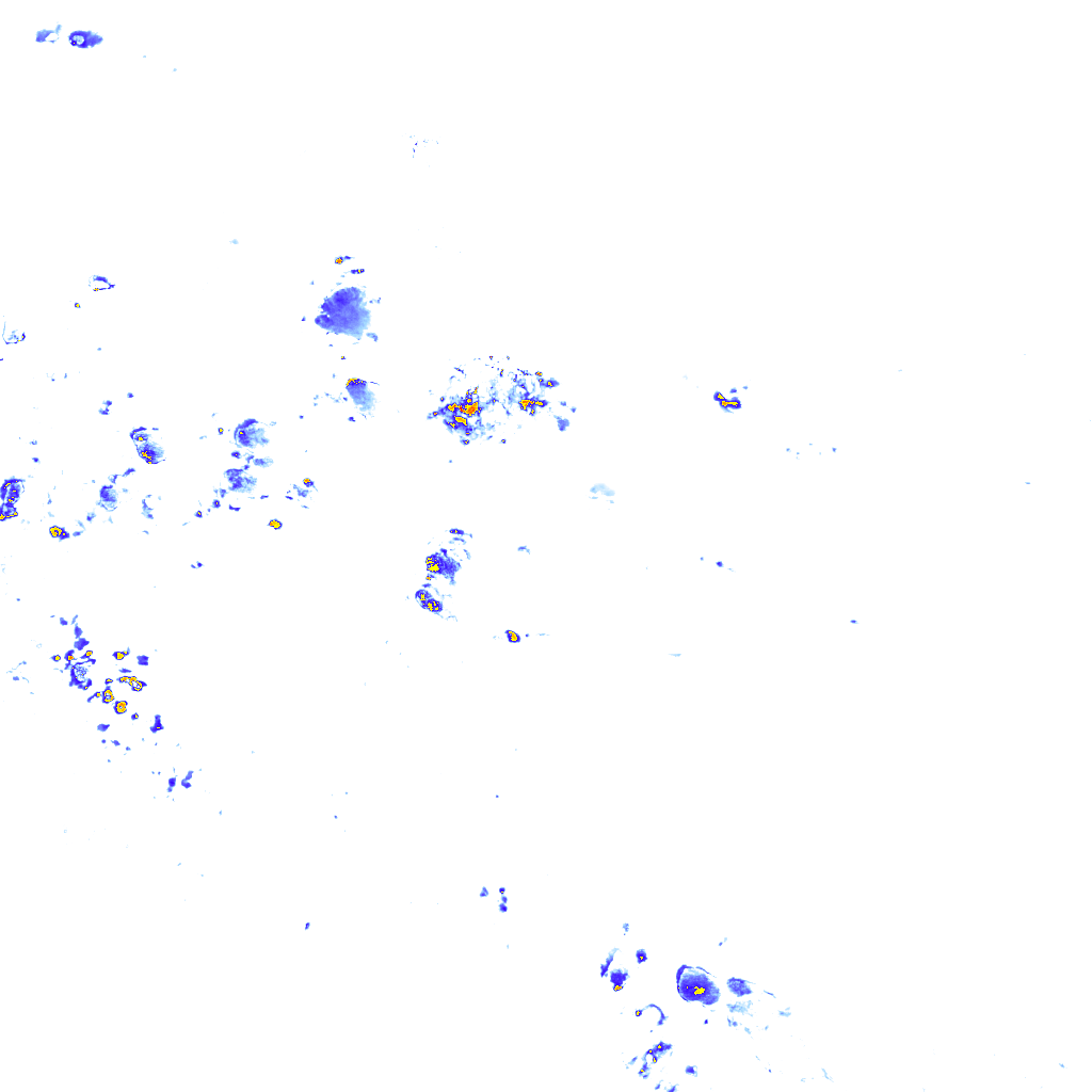 Image Layer