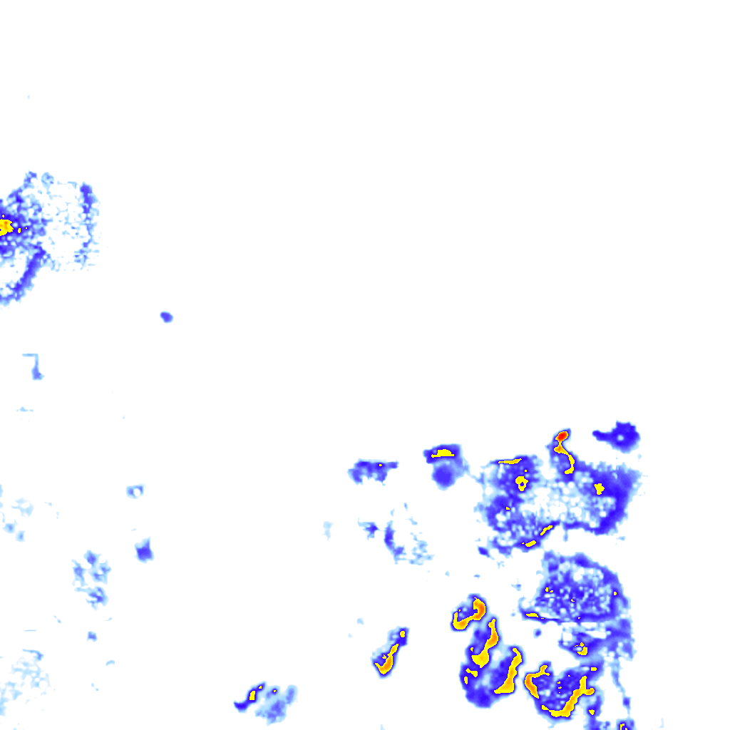 rainLayer