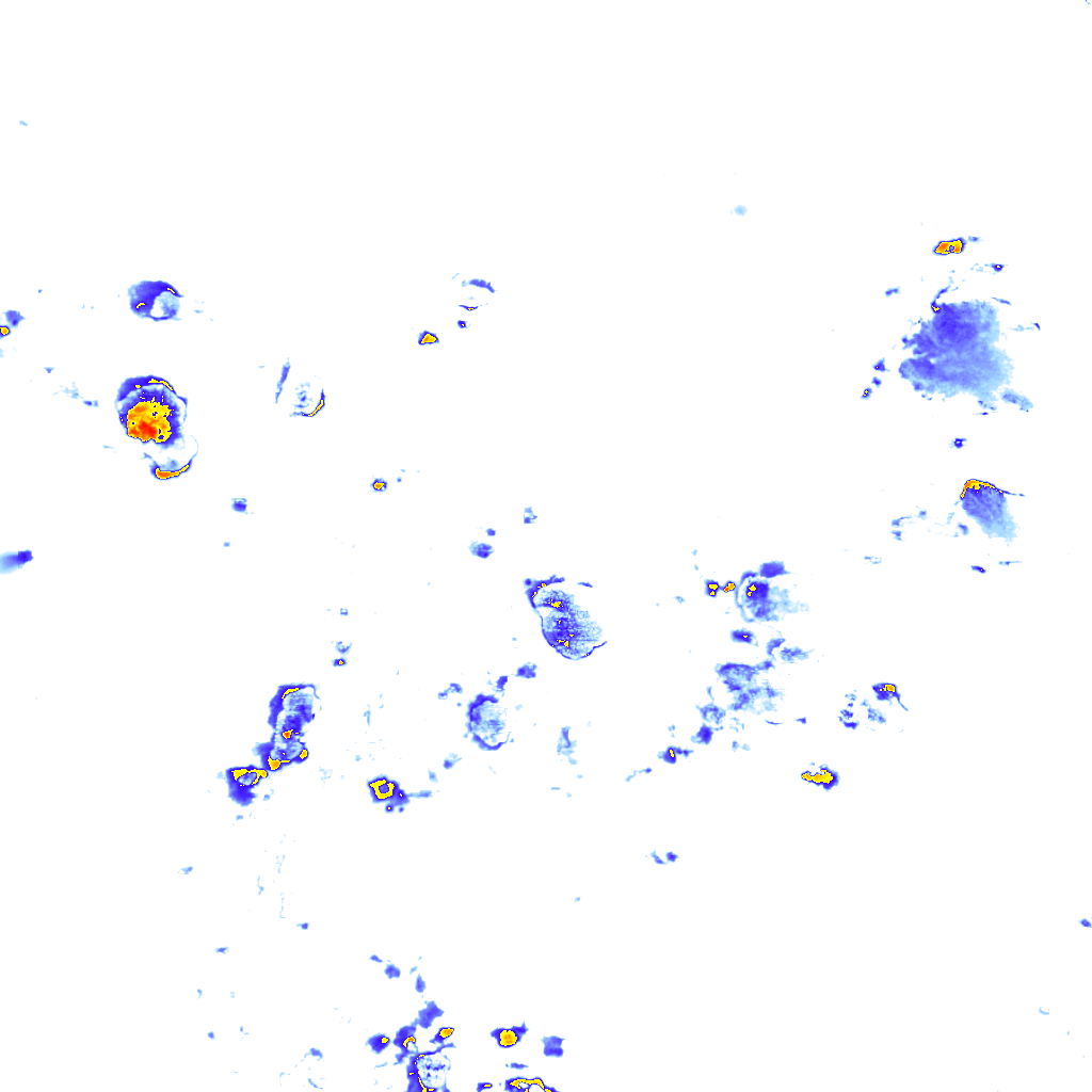 Image Layer