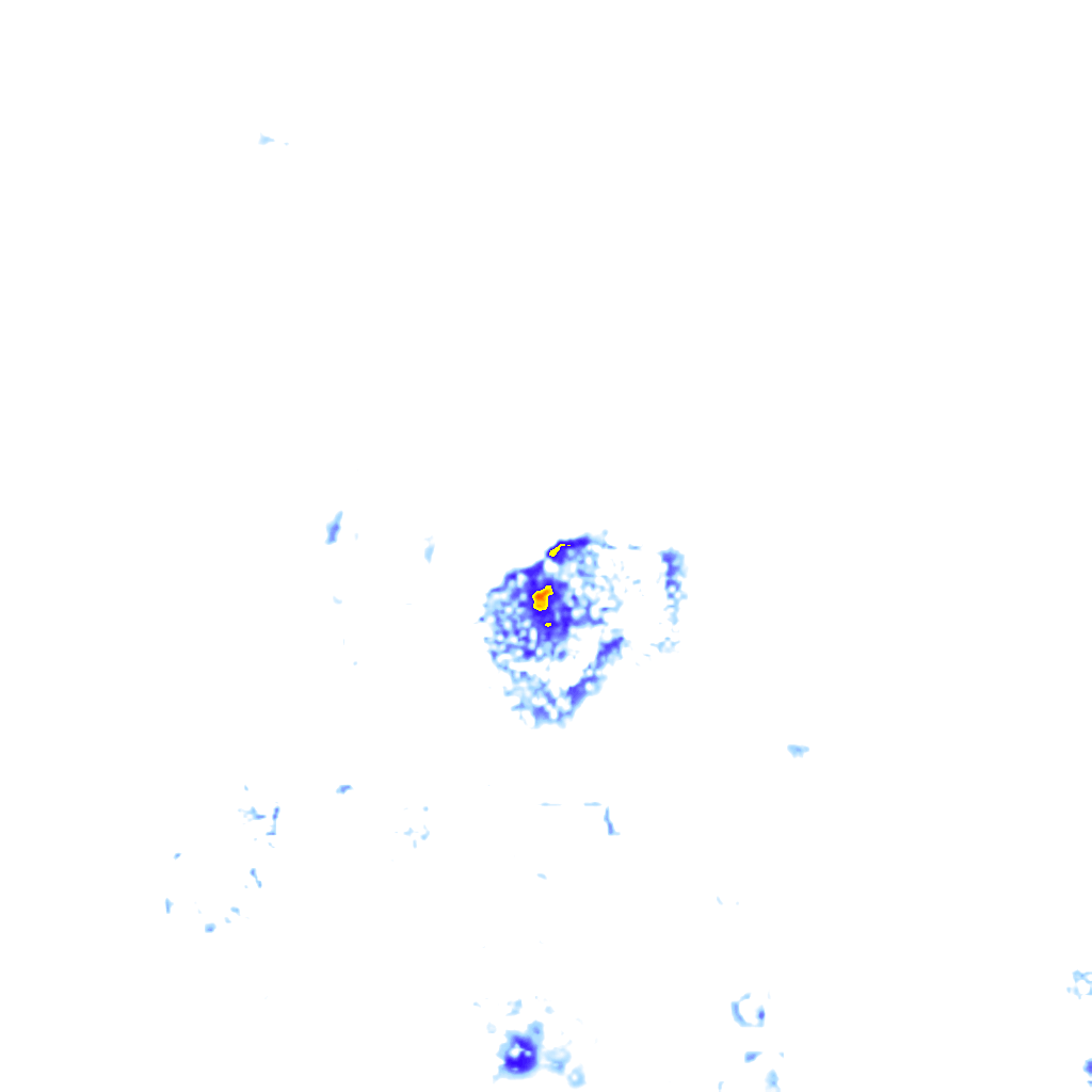 rainLayer