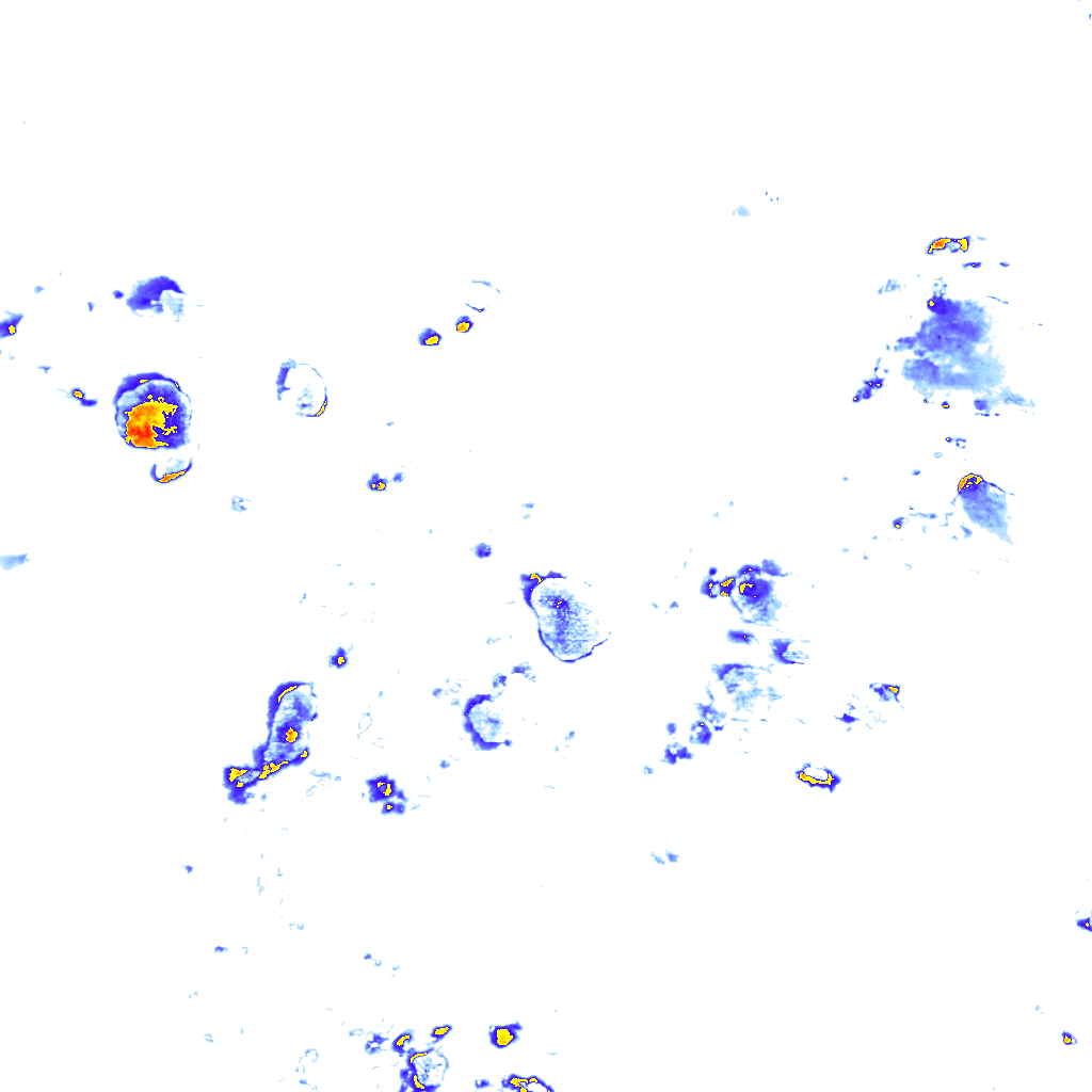 Image Layer