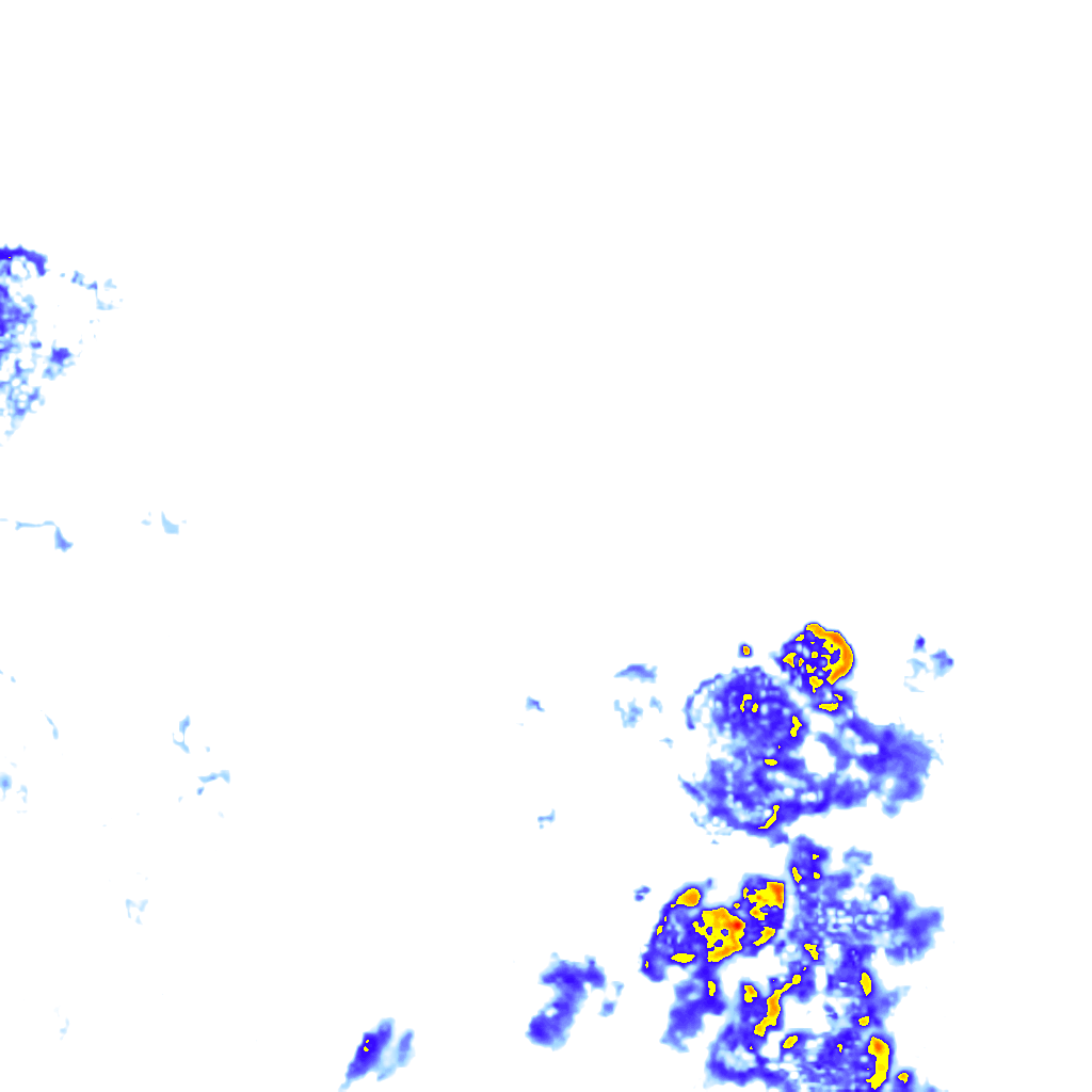 rainLayer